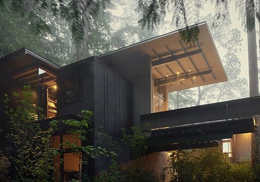 1771963455 02006 00 Olson Cabin N3 High300 Diane Rhyu Taylor